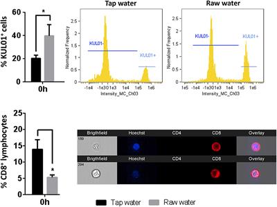 Differential Effects of Drinking Water Quality on Phagocyte Responses of Broiler Chickens Against Fungal and Bacterial Challenges